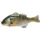 Jackall Lures Jackall Gantarel JR Segmented Swimbait, 5ft, 1 1/2oz, Floating, Ghost Gill, JGANTJR-RTGG