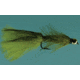 Jackson Cardinal Wooly Bugger #6, Beadhead Olive, 908-6