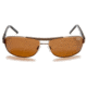 Jaguar Polarized Lenses Sunglasses 37316, Jaguar 37316 Sunglasses Styles Brown-Gold Frame / Brown Polarized Lenses