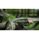 Jebs Choke Tubes Jebs Low Profile Red Dot Mount for Trijicon RMR- Holosun H5407/H5507C/H5508T Black 5E7B491E