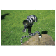 JOBY Gorillapod SLR Zoom Camera Tripod, Black/Grey JB00103-CEN