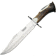 Joker Knives Bowie Fixed Blade Knife, 16in Overall, 9.75in Satin Vanadium Molybdenum Steel Clip Point Blade, Crown Stag Handle, SS Guard, Brown Leather Belt Sheath, CN101