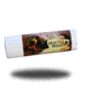 Joshua Tree Mocha Mint Lip Balm