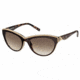 Just Cavalli JC409S Sunglasses - Dark Brown Frame Color, Gradient Brown Lens Color
