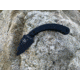 KA-BAR Knives TDI Ladyfinger Fixed Blade Knife, 1.875in, AUS 8A Stainles Steel, Zytel, 1494