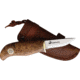 Karesuando Sami Uraka Hunter