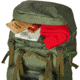 Kelty Asher 85L Backpack, Winter Moss/Dill, One Size, 22629022WM