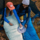 Kelty Cosmic 20 Deg 550 Down Sleeping Bag, Short, 35413724SR