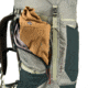 Kelty Glendale 65 W Sea Spray, SS, 65 Liter, 22630824SS