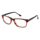 Kenzo 2211 Eyeglass Frames - Frame TORTOISE KZ221102