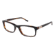 Kenzo 4167 Eyeglass Frames - Frame BLACK TORTOISE, Size 53/19mm KZ416701