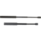 KIT Expandable Batons