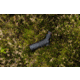 Kite Optics Mini SP 12-36x56mm Spotting Scope