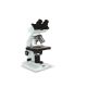 Konus Campus-2 1000x Biological Microscope, White, 5307