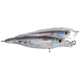 Koppers Live Target Glass Minnow Popper Lure 2-1/2" - Silver/Smoke 120888