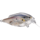 Koppers Live Target Threadfin Shad Squarebill Lure 2-3/8" - Pearl/Grey 120843