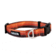 Kuma Outdoor Gear Backtrack Dog Collar