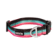 Kuma Outdoor Gear Backtrack Dog Collar