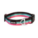 Kuma Outdoor Gear Backtrack Dog Collar, Medium, 14-20in, VIce, Black/Pink/Teal, 867-KM-BTCL-VC-M