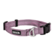 Kuma Outdoor Gear Lazy Bear Dog Collar