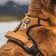 Kuma Outdoor Gear Lazy Bear Dog Harness