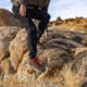 Danner Panorama Mid 6in Pinecone Brown/Bossa Nova - Mens, Pinecone Brown/Bossa Nova, 9.5, 63439-D-9.5