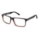 LAmy GEORGES Eyeglass Frames - Frame TORTOISE, Lens Color Fade, Size 54/17mm LYGEORGES02