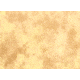 Lastolite 5'x6' Collapsible Reversible Background Train, Colorado Arizona LLLB67CA 