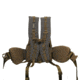 Latitude Treestand Suspension System Back Straps, 1501879