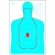 Action Target B-27E and FBI Q Combination Target