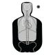 Law Enforcement Targets F-TQ15ANT-A Vital Anatomy/TQ-19 Scoring Target Gray/Black 23x35 Inch 100 Per Case F-TQ19ANT-A
