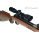 Leapers UTG 1in 3-9X40 TF2+ Rifle Scope RGPM-25M4 Airgun with .22 Rings SCP-U394FDT2