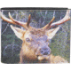 Leather Collections Bifold Wallet, Animal Eyes, Black w/Elk Eyes, EYES15-ELK