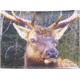 Leather Collections Trifold Wallet, Animal Eyes, Black w/Elk Eyes, EYES16-ELK