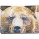 Leather Collections Trifold Wallet, Animal Eyes, Black w/Grizzly Eyes, EYES16-GRIZZLY