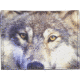 Leather Collections Trifold Wallet, Animal Eyes, Black w/Wolf Eyes, EYES16-WOLF