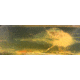 Lehigh Defense .224 Caliber 55 Grain Controlled Chaos Centerfire Rifle Bullets, 50 Rounds, 05224055CuSP