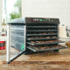 LEM Products 6 Tray Plastic Dehydrator, 1729