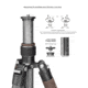 Leofoto LX-255CT/BV-1 Reversible Travel Tripod w/ Bino Fluid Head Kit, Black, LX-225CT+BV-1