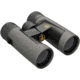 Leupold BX-2 Alpine HD 10x42mm Binocular, Roof, Shadow Gray, 181177