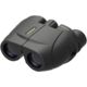 Leupold BX-1 Rogue 10x25mm Porro Prism Compact Waterproof Binoculars