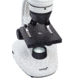 Levenhuk 1280x NG Microscope, White 24617, with Levenhuk See All Prepared Slides Set