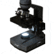Levenhuk 320 BASE Biological Monocular Microscope, Optical Glass, 40-1000x, 23.2mm, Grey/Black, Middle, 73811
