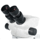 Levenhuk 7-45x ZOOM 1B Binocular Microscope, White, Middle, 76056