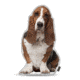 Lifelike Pillows Custom Dog Shaped Pillow, Basset Hound, 16 inch Tall/4 inch Thick, DOG1-SH-16