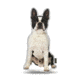 Lifelike Pillows Custom Dog Shaped Pillow, Boston Terrier, 16 inch Tall/4 inch Thick, DOG5-SH-16