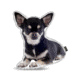 Lifelike Pillows Custom Dog Shaped Pillow, Chihuahua, Black, 16 inch Tall/4 inch Thick, DOG7-SH-16