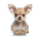 Lifelike Pillows Custom Dog Shaped Pillow, Chihuahua, Fawn, 16 inch Tall/4 inch Thick, DOG6-SH-16