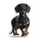 Lifelike Pillows Custom Dog Shaped Pillow, Dachshund, Black, 16 inch Tall/4 inch Thick, DOG8-SH-16