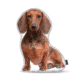 Lifelike Pillows Custom Dog Shaped Pillow, Dachshund, Brown, 16 inch Tall/4 inch Thick, DOG9-SH-16